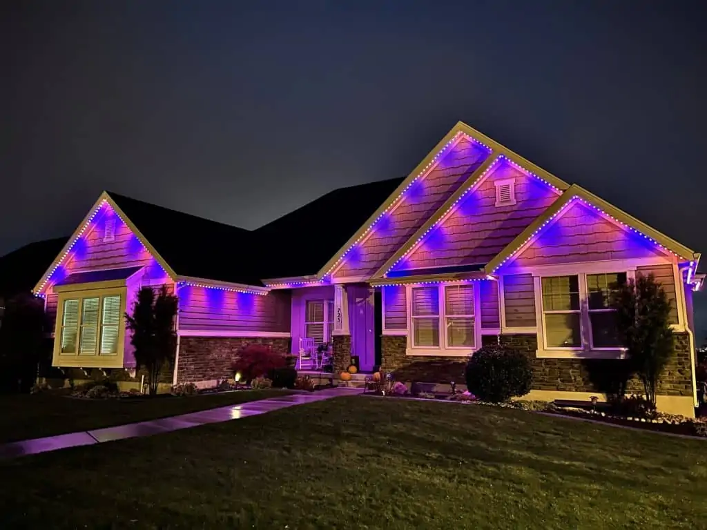 Backyard String Lights